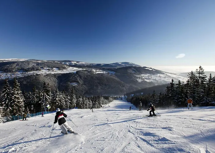 Krkonose 公寓 *